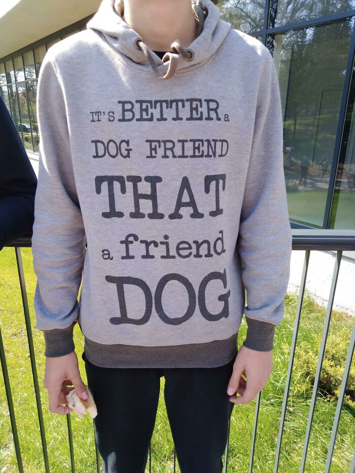 Person wearing a grey hoodie with a hilariously bad t-shirt design about a dog friend at an outdoor railing.