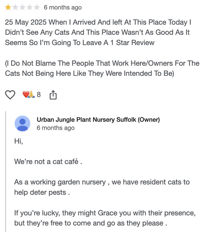 One-star review about missing cats at a garden nursery with owner explaining cats deter pests and roam freely.