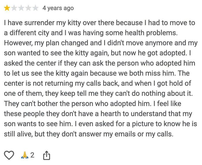 One-star absurd review from an entitled person misunderstanding the world, sharing a sad story about surrendering a kitty.