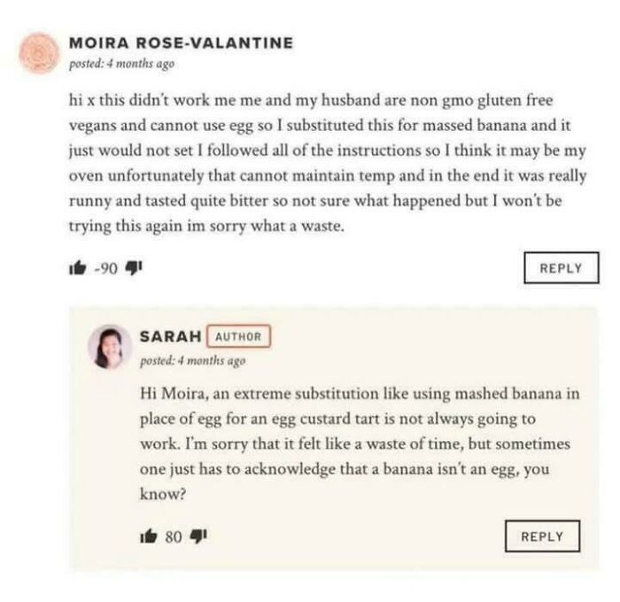 Screenshot of an absurd online review exchange highlighting misunderstandings about recipe substitutions and cooking basics.