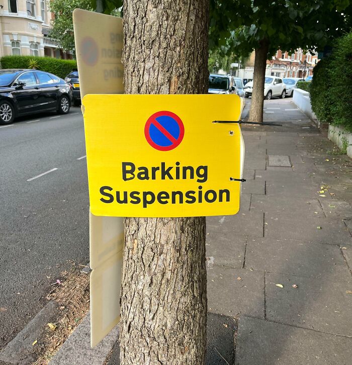 Yellow sign with a no parking symbol attached to a tree, altered to read "Barking Suspension" as mild vandalism.