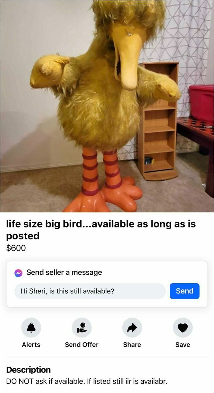 Life-size big bird costume listed on Facebook Marketplace with worn fur and large orange striped feet for sale.