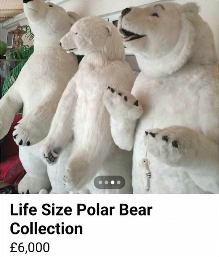 Life size polar bear collection for sale on Facebook Marketplace with an unusual and unhinged appearance.