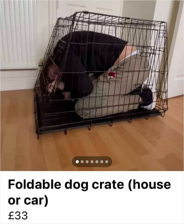 Person curled inside a foldable dog crate in a room, an unhinged Facebook Marketplace listing with a surprising twist