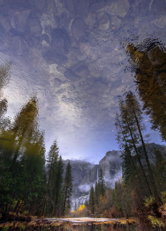 Reflection of forest and mountains in water, an unedited photo that might mess with your already tired brain.