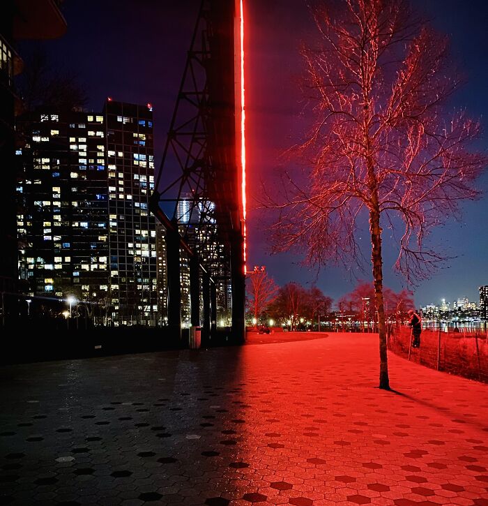 Night urban scene with unedited photos effect showing sharp divide between dark and red-lit sidewalk, buildings, and tree.