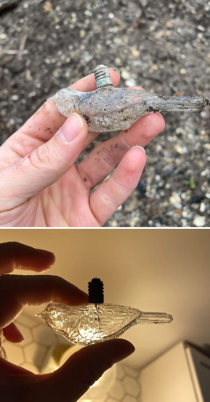Hand holding a vintage clear glass bird-shaped light bulb, shown in natural and backlit settings.
