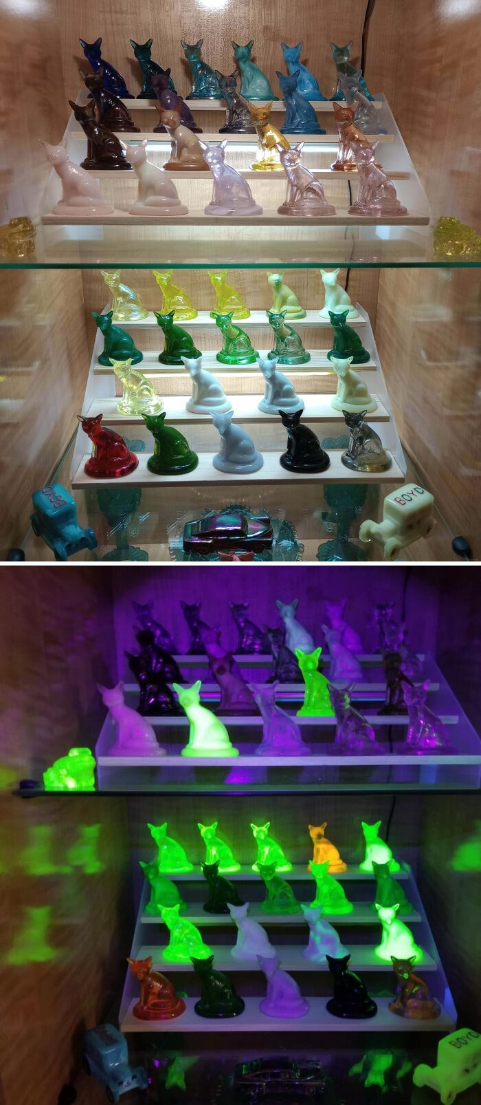 Colorful glass cat figurines displayed on shelves, showcasing cool and creative glass items for home decor.