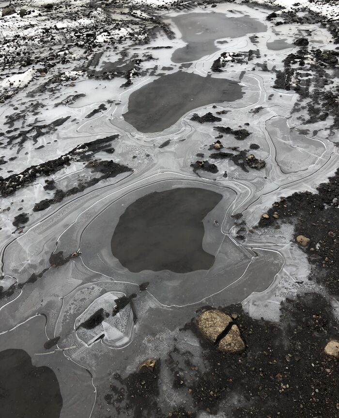 Frozen puddles on muddy ground creating abstract patterns that might mess with your already tired brain.