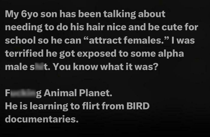 Alt text: Text about a 6-year-old boy learning toxic male behaviors related to attracting females from bird documentaries.