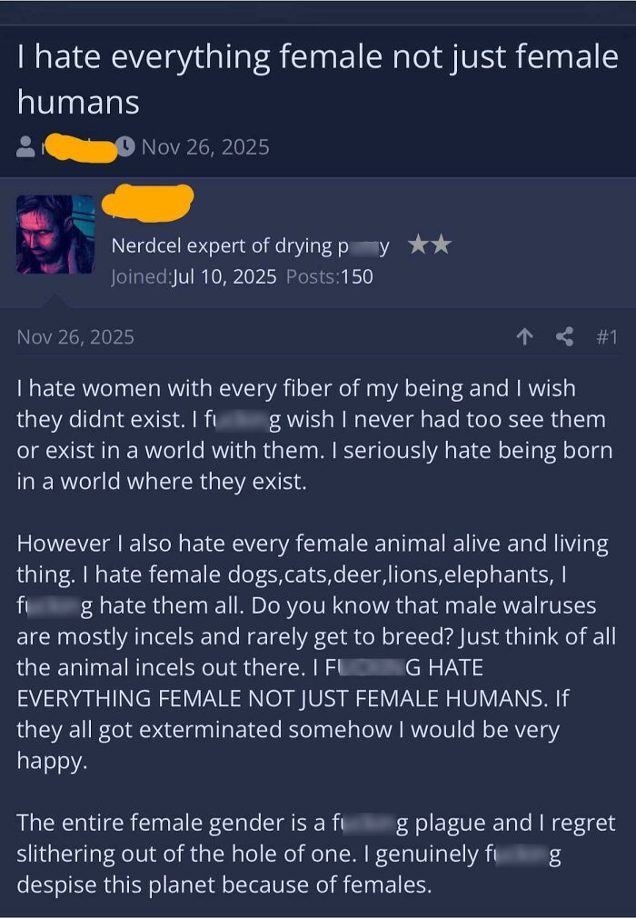 Screenshot of a toxic man’s hateful online rant expressing extreme misogyny and hatred toward women and females.