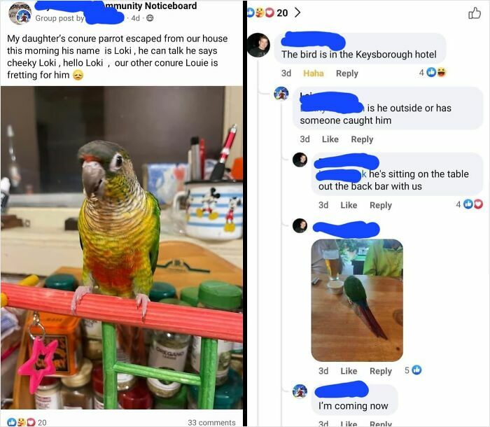 A Funny Event That Happened Earlier This Week In Our Local Facebook Community Group