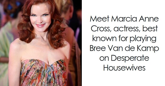 Marcia Cross: Bio And Career Highlights
