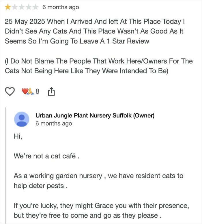 One-star review about missing cats at a garden nursery with owner explaining cats deter pests and roam freely.