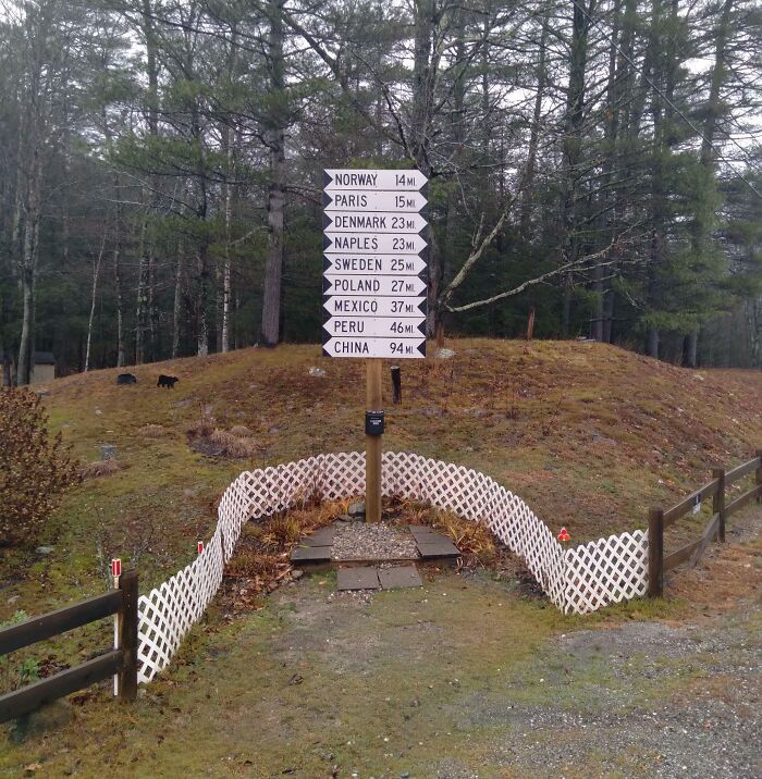 Distance signpost with multiple country names in a forest setting capturing the essence of US states in a scenic outdoor view
