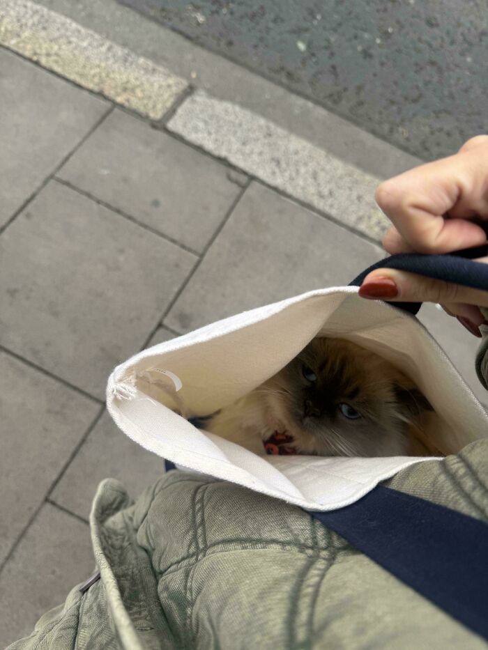 I Hope This Isn't A Crime. He Insisted