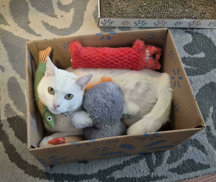 There's Too Much Snow Outside So We Have To Find Things To Do Inside