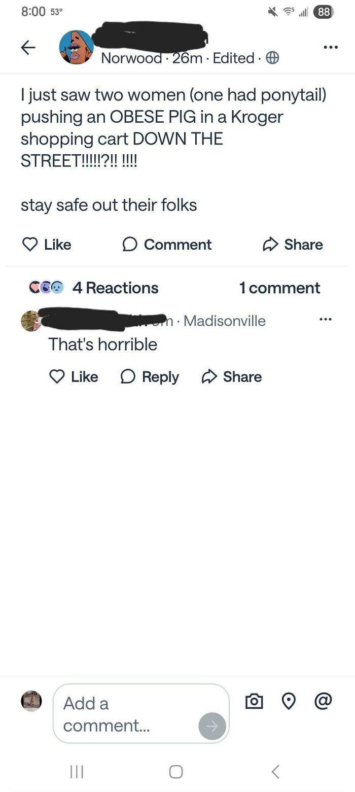 A wild neighborhood online community screenshot of a post about two women pushing an obese pig in a shopping cart.