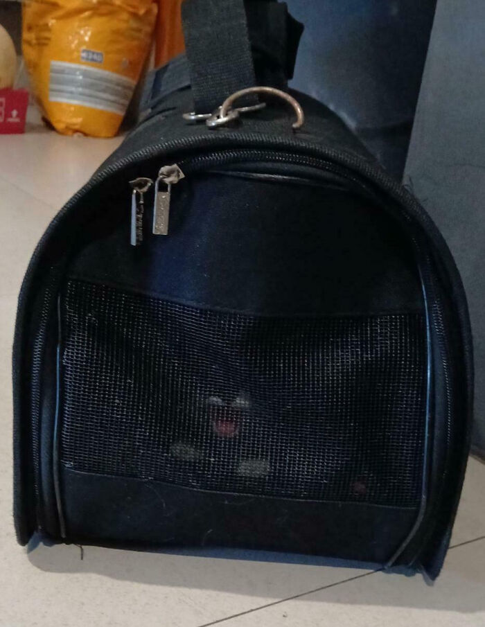 My Parents Saved A Kitten From Being Run Over By Cars. This Is The Blurry Photo My Brother Sent Me With Zero Context