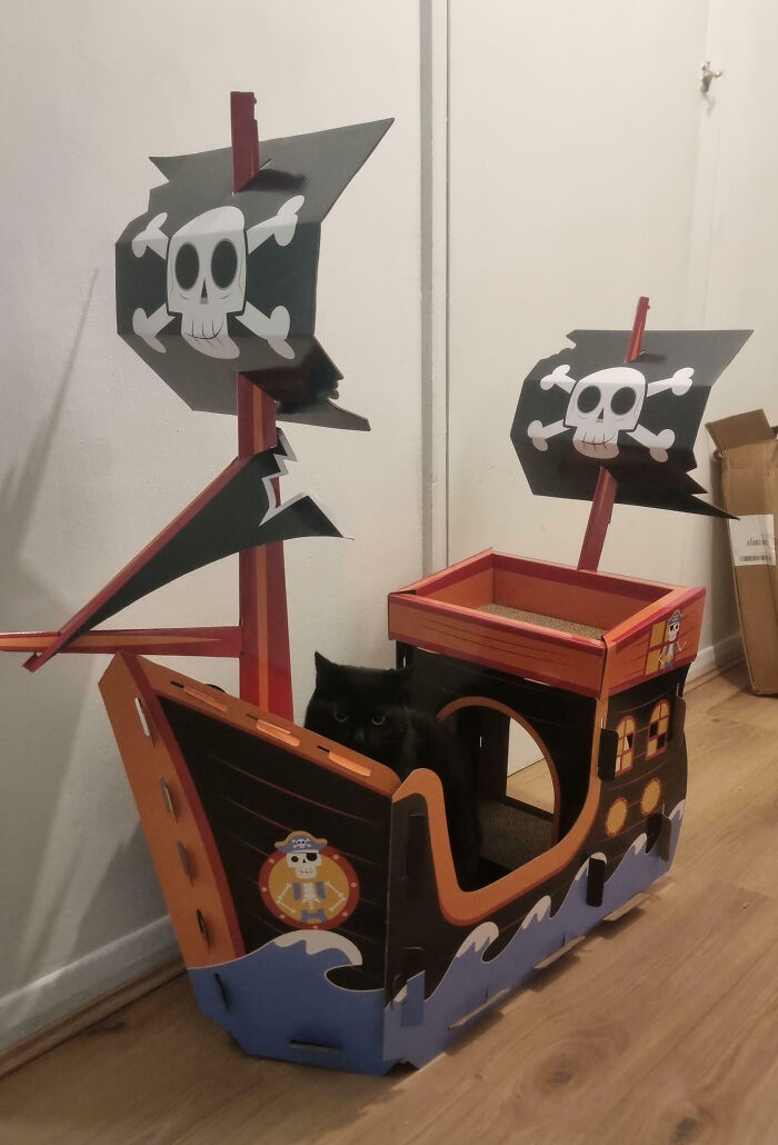 Why Does She Still Hate Me, I Built Her A Ship?