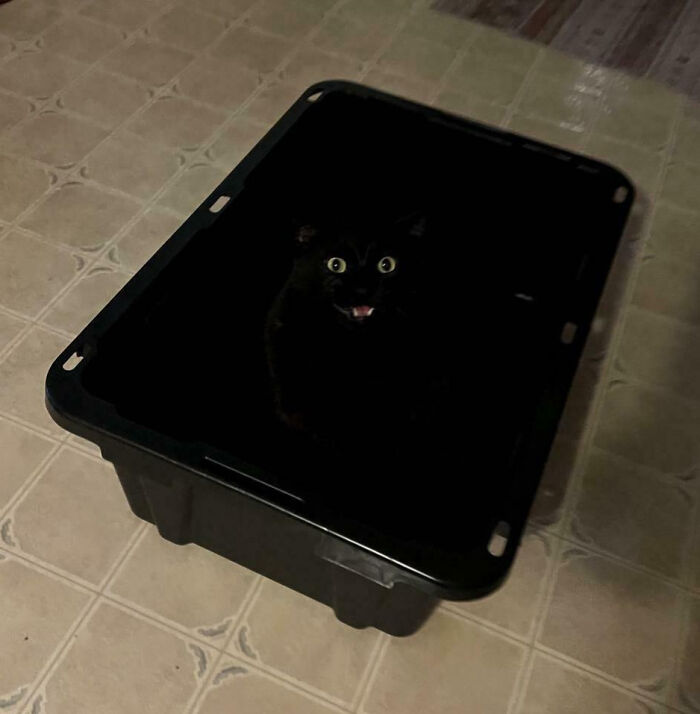 I Couldn’t Find Him Till He Yelled