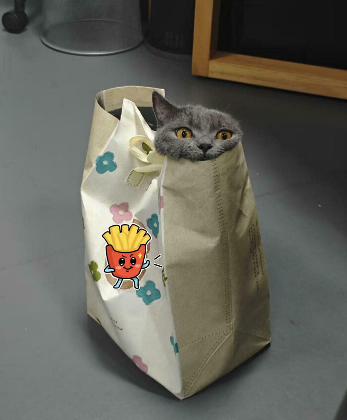 Ordered Takeout, Got This Instead