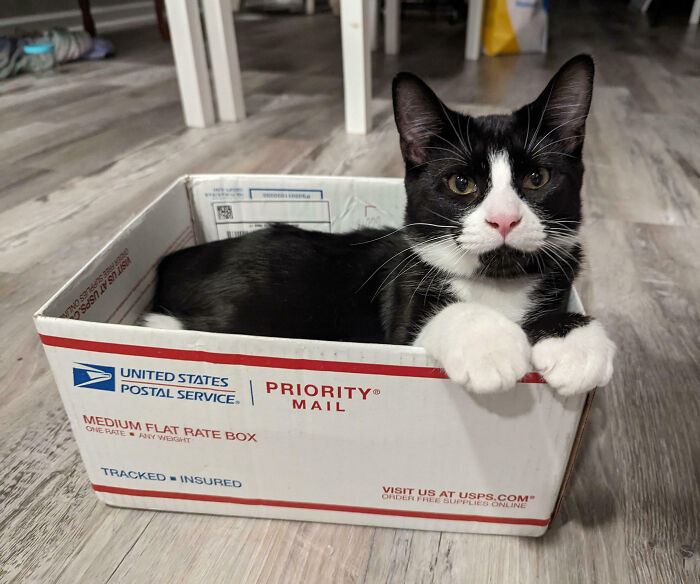 I Fits, I Sits