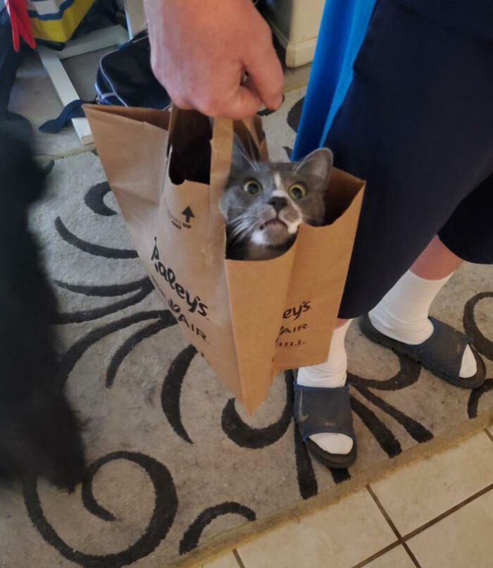 He Realized The Bag He Entered Is No Longer Stationary