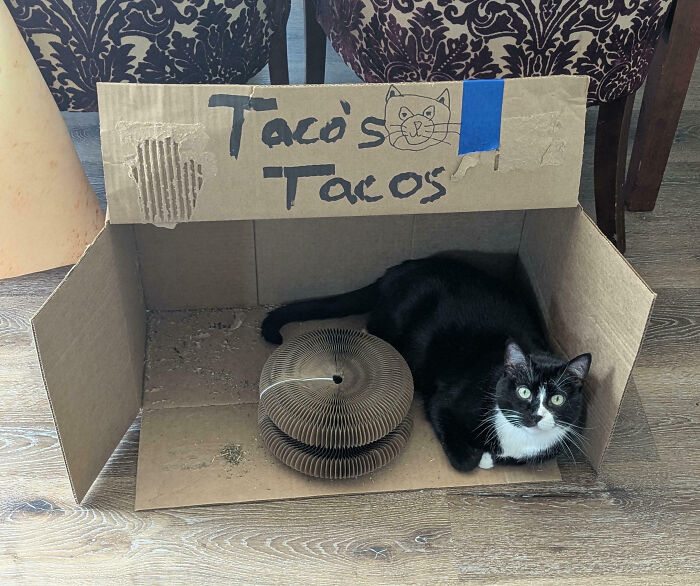 Taco's Tacos