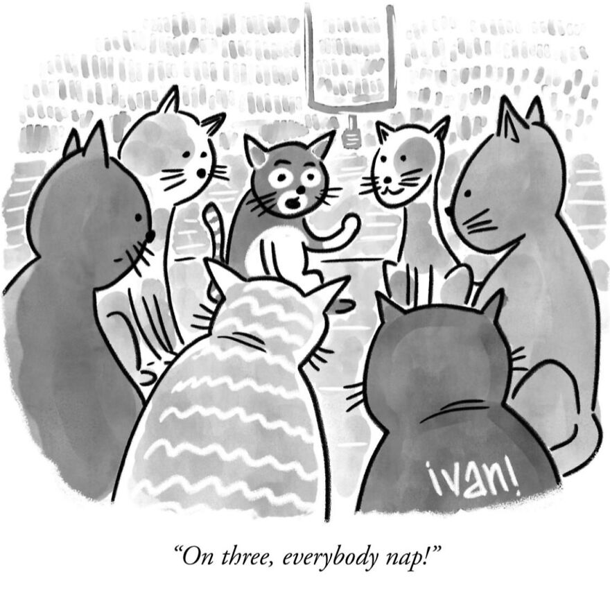 These One Panel Comics Deliver Unexpected Twists That Hit Harder Than You Expect (52 New Pics)