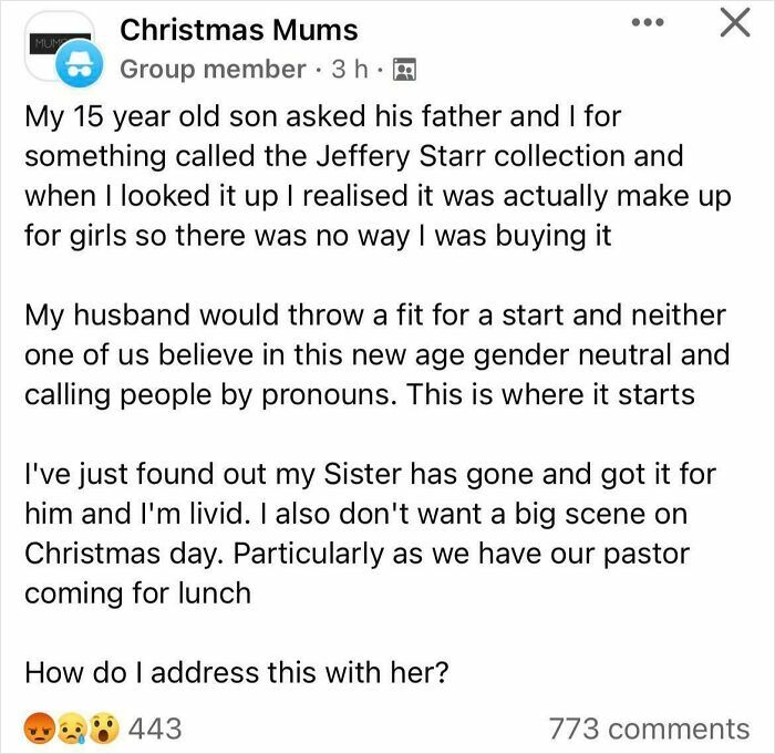 Mom group post showing a heated discussion about gender-neutral makeup and family conflicts during Christmas.