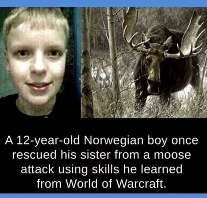 Young boy credited with rescuing sister from moose attack using skills, showcasing interesting vault of bizarre and cool stories.