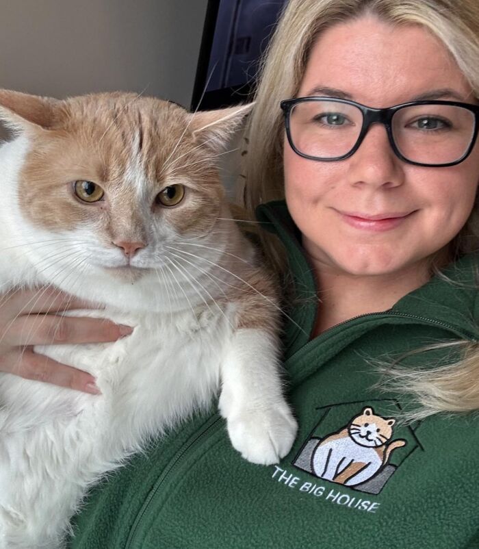 They Save The Cats No One Else Can: Inside The Sanctuary Helping Obese Cats Reclaim Their Lives(33 Pics)