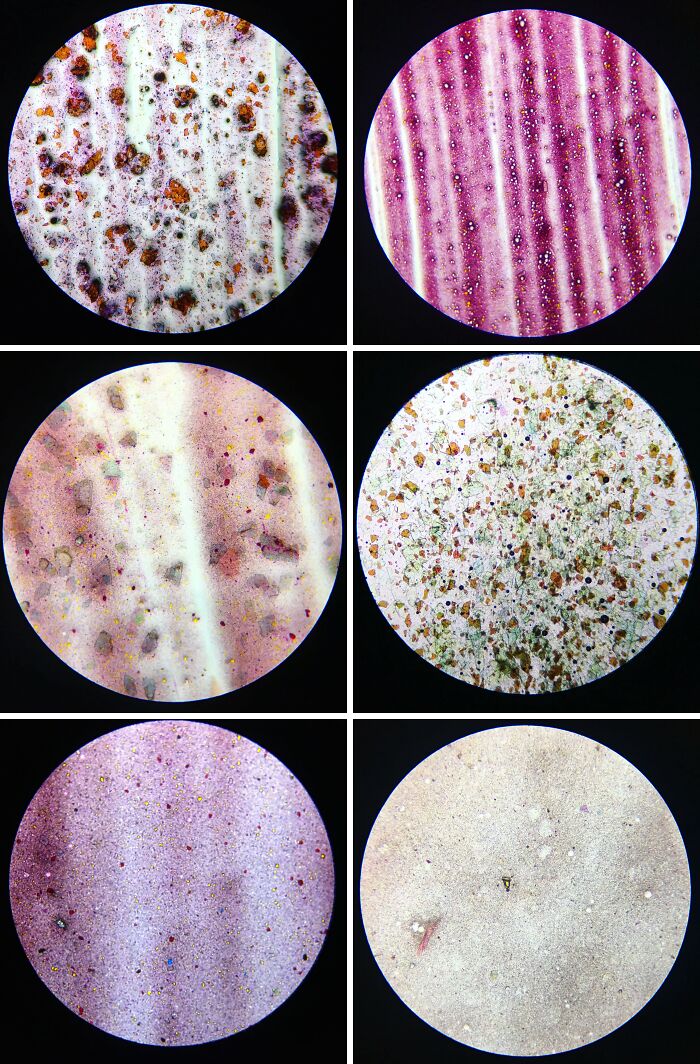 I Compared Some Shades Of Lipstick Under The Microscope