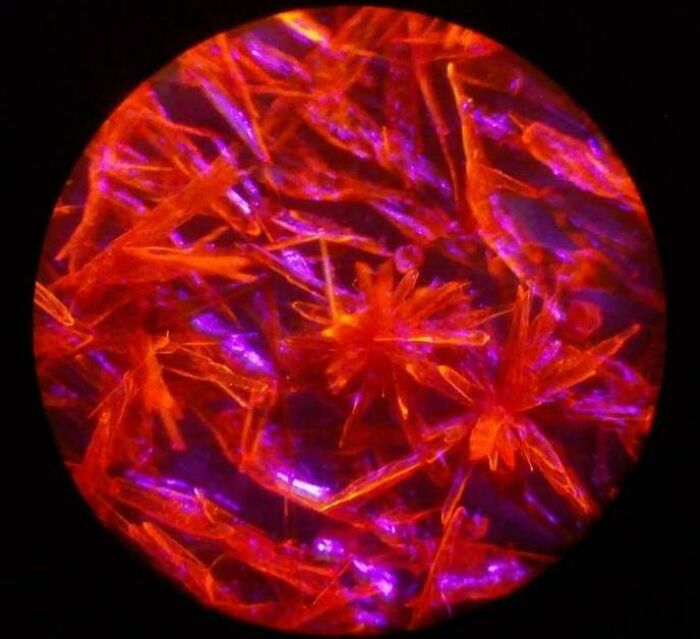 Extremely Fluorescent Crystals Of Derivatized Dibenzalacetone Under Microscope