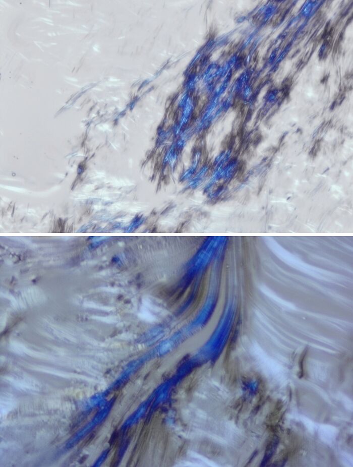 The Semicrystalline Nature Of Vaseline And A Protic Ionic Liquid