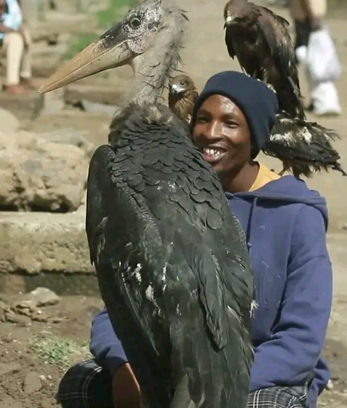 After Losing Everything, This Man Found Purpose In Rescuing Birds On Nairobi&rsquo;s Streets
