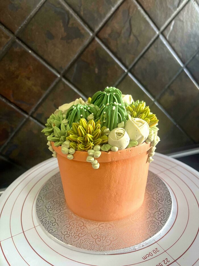 Cake designed as terracotta pot with realistic green succulent icing decorations