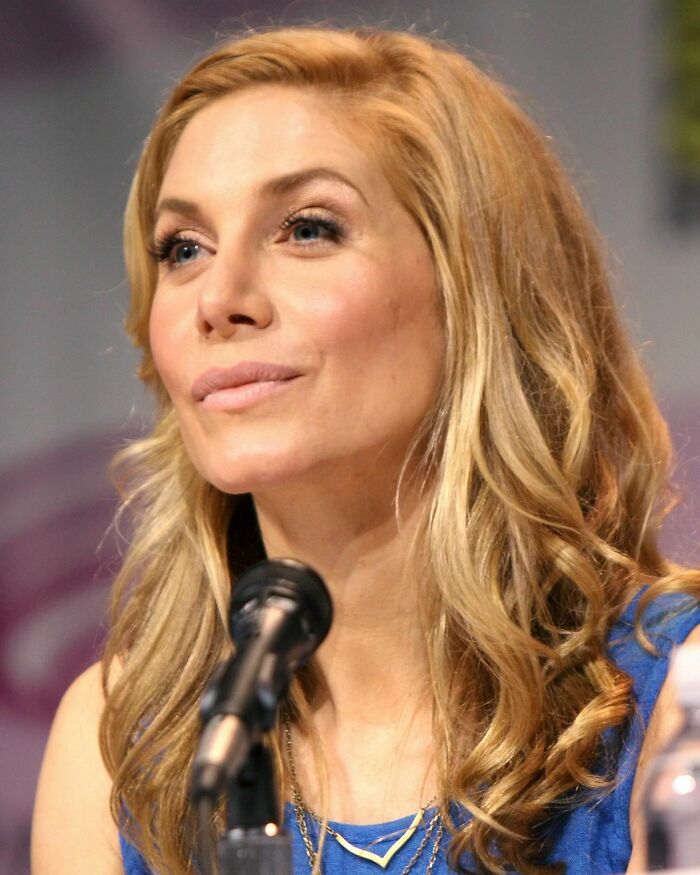 Elizabeth Mitchell speaking at a panel event, with wavy blonde hair and wearing a blue top.
