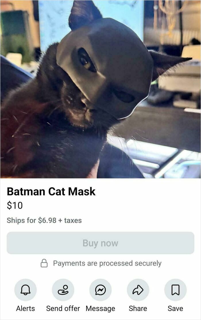 Black cat wearing a Batman-style mask in a listing showcasing bizarre things people are selling online for $10.
