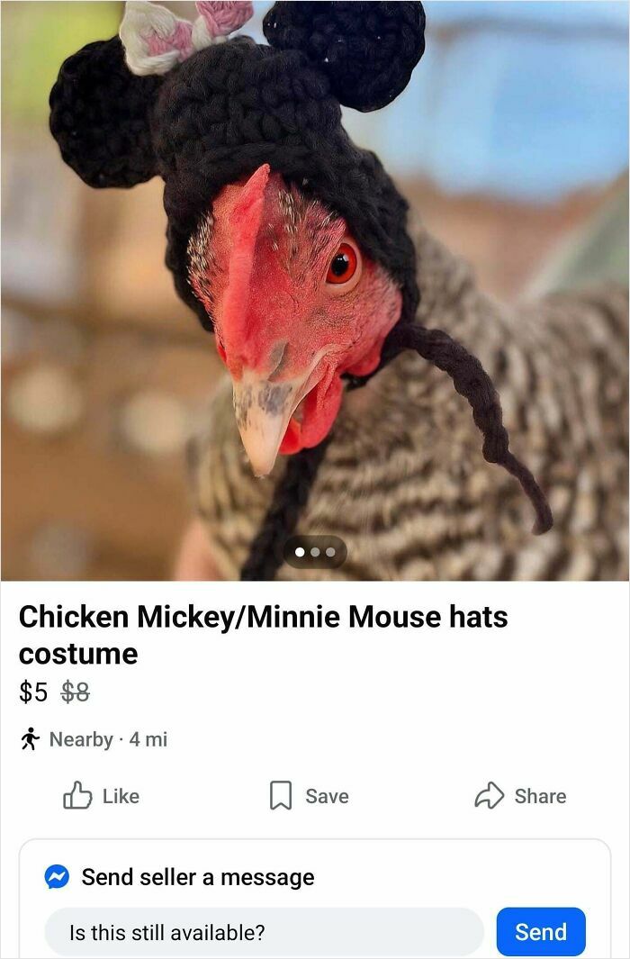 Chicken wearing a crocheted Mickey Minnie Mouse hat costume listed among bizarre things people sell online.