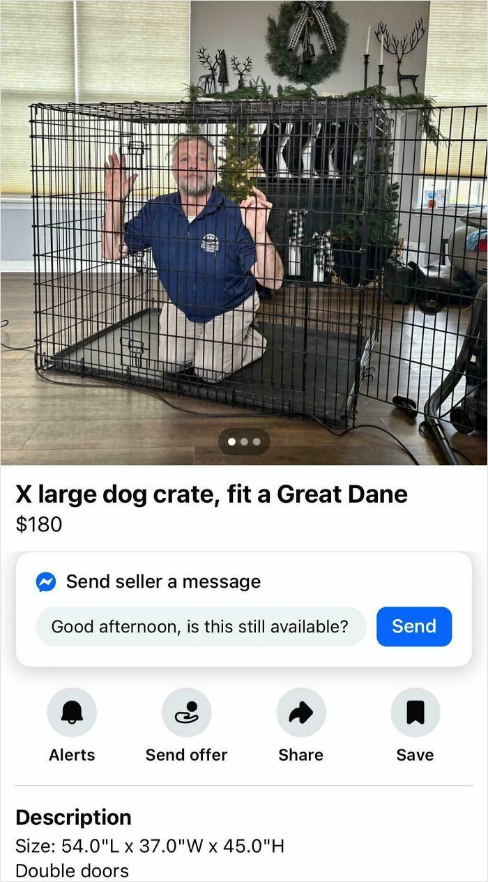 Man kneeling inside an extra large dog crate listed for sale, showing bizarre things people sell online.