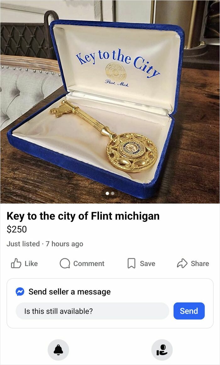 Gold key to the city of Flint Michigan presented in a blue velvet case, listed among bizarre things for sale online.