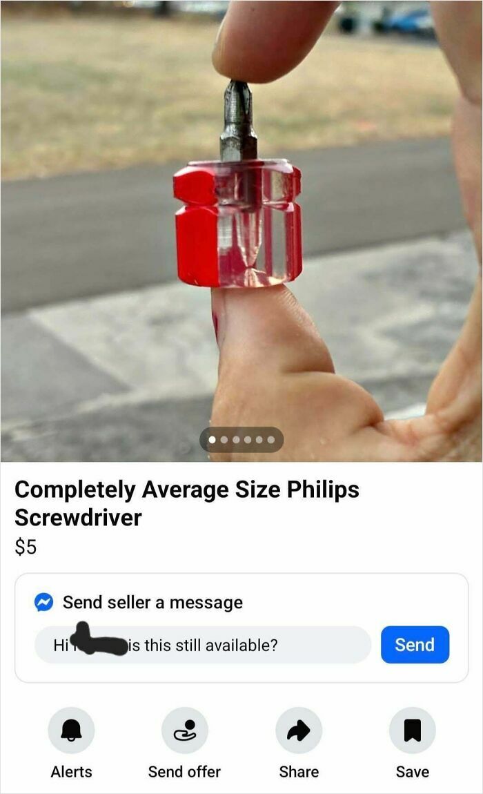 Tiny Philips screwdriver held between fingers, one of the bizarre things people are selling online in wild listings.