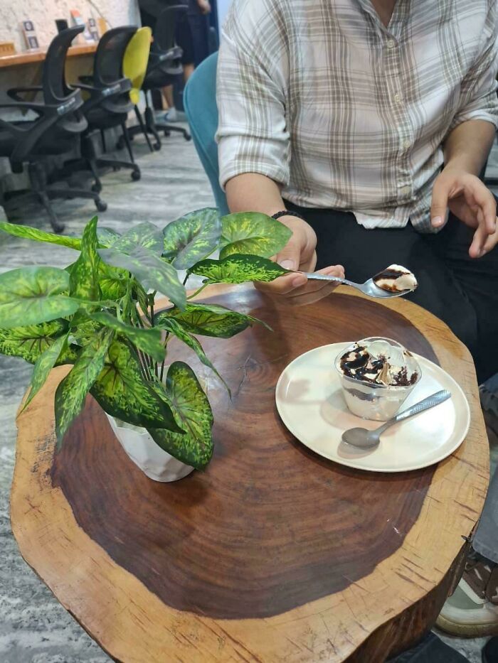 Person eating dessert at wooden office table with plant, highlighting workplace photos and why no one wants to work anymore.