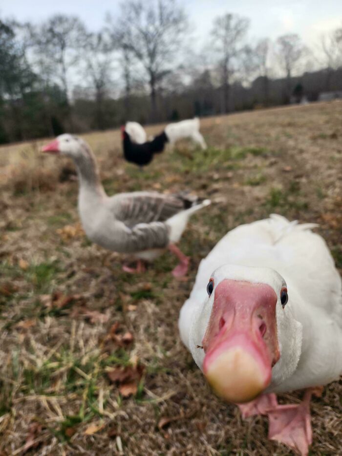 37 Times People Had The Satisfying Opportunity To Make A Jerk’s Day Worse