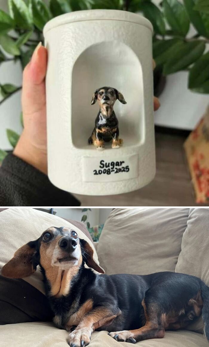 Hand holding a DIY miniature dog sculpture named Sugar with a dachshund lying on a couch in the background.