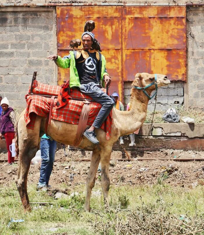 After Losing Everything, This Man Found Purpose In Rescuing Birds On Nairobi&rsquo;s Streets