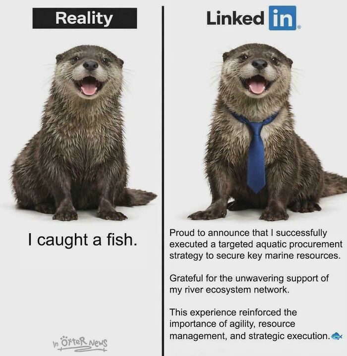 A meme contrasting reality versus LinkedIn, showing an otter catching a fish versus describing it with corporate jargon for a new job.