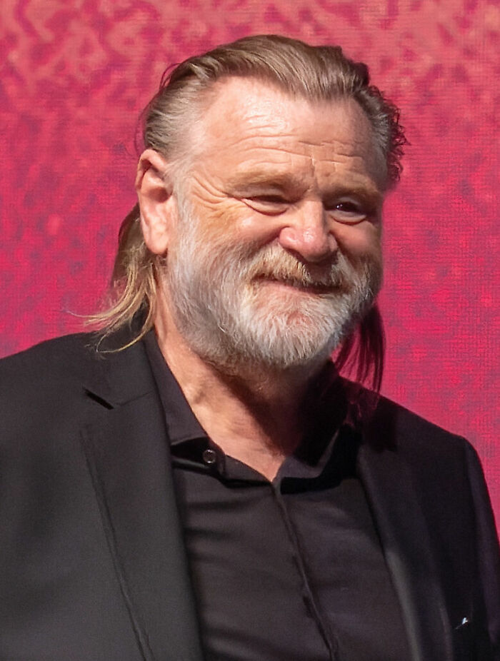 Actor Brendan Gleeson, 71